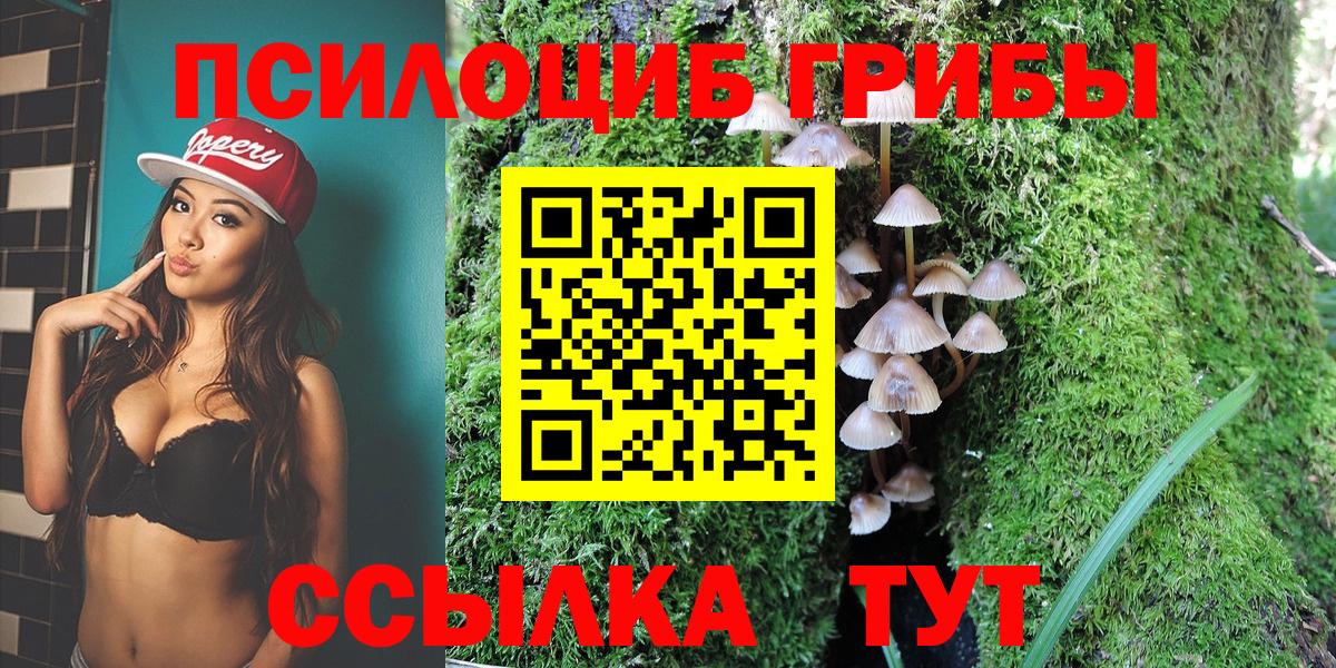 Галлюциногенные грибы GOLDEN TEACHER Юрга