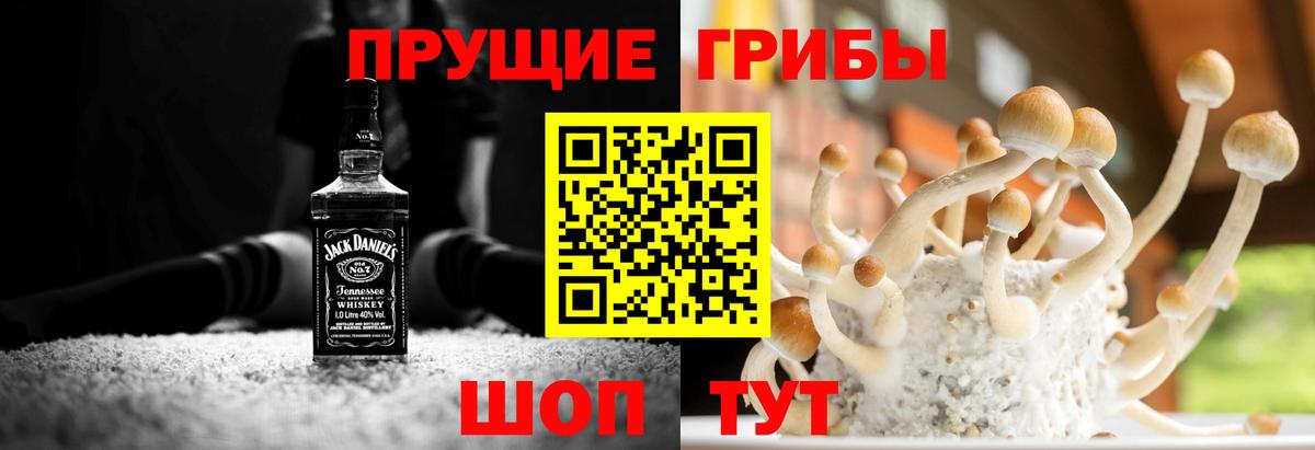 Юрга  Псилоцибиновые грибы ЛСД  Вход с VPN 